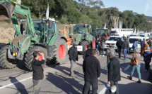Colère des agriculteurs : trafic ralenti sur la RT10 à Linguizzeta 