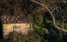 La météo du jour en Corse 