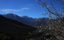 La météo du jour en Corse