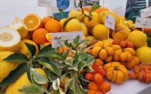 Les “Agrumes sont en fête” ce week-end à Bastelicaccia