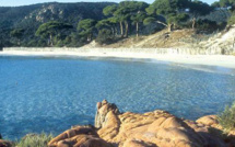Palombaggia dans le top 100 des plus belles plages du monde 