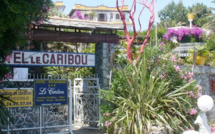 Cap Corse : Une nouvelle vie pour le Caribou