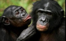 "Yakich et Poupatchée" d'Hanokh Levin à l'Aghja