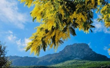 La météo du jour en Corse