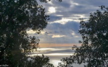 La météo du jour en Corse