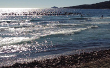 Capo di Feno : Hommage des amis surfers de Stéphane Camuzat 