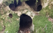 La photo du jour : King Kong made in A Sarra di Scupame