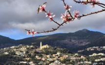 La météo du jour en Corse