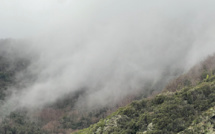 Météo : La Corse en vigilance jaune pour "pluie-inondation"