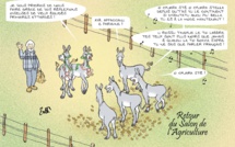 Le dessin de Battì : "retour du salon"