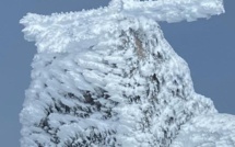 La photo du jour : au sommet du Renosu