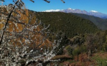 La météo du jour en Corse