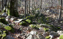 La météo du jour en Corse
