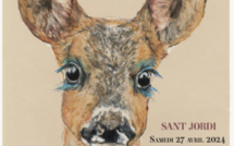 A Ajaccio La marge célèbre la 26e édition de la Fête de la librairie Indépendante