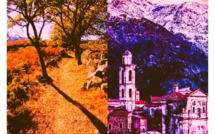 Una chjama per i chjassi à Montegrossu