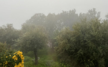 La météo du jour en Corse