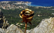 La photo du jour : la rose metallique d'Occi