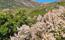 La météo du jour en Corse