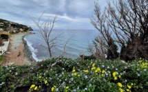 La photo du jour : Siscu, une si jolie petite plage