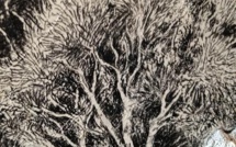 Jean-Laurent Albertini expose jusqu'au 12 Juillet à l'espace d'art contemporain Orenga de Gaffory