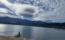 La photo du jour : a seppia balanina