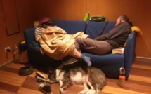 Plus de 24 heures pour rejoindre Bastia depuis Livourne : l'odyssée des passagers du Moby Kiss