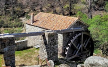 Nouveau projet culturel d'Altaleghje : "Scoprà u vivu" pour sensibiliser à l'urgence climatique