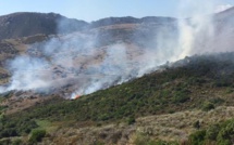 Incendie : 2 hectares de maquis détruits au golfe de Lava