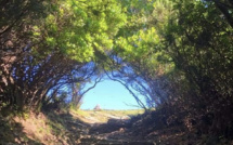 La météo du jour en Corse