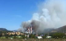 Vazzio : Déjà 50 hectares parcourus par les flammes