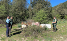 Une décharge sauvage découverte à Guagno