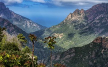 La photo du jour : Ota dans son merveilleux écrin