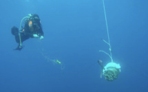 Un chalutier pêche un engin explosif au large de Porto-Vecchio