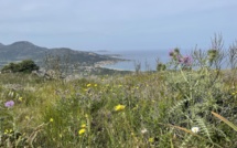La météo du jour en Corse