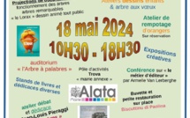 De l'arbre au livre : l'association l'ABC des arts 2a célèbre la culture à Alata 