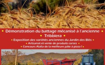 Antisanti : Granu anticu fête les moissons