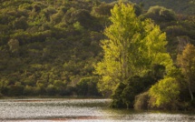 La météo du jour en Corse
