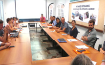 Il faut sauver les martinets à Bastia