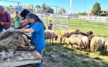 Castellare-di-Casinca fête la San Brancà