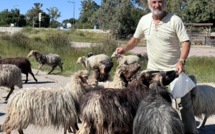 José Acquaviva : le berger de Montemaiò portera la flamme olympique à Corte
