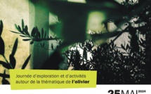 Albu – Ogliastru : 1ère édition de « Evviva U Capicorsu » sur le thème de l’olivier