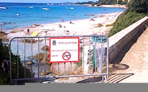 Pollutions à répétition dans le golfe d'Ajaccio : Le député-maire dépose plainte contre X 