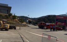 Xylella Fastidiosa : Arrachage et destruction des végétaux et consignation du stock du fournisseur