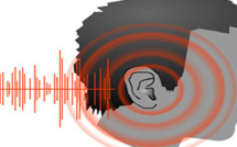 On le tolère, on le supporte et on craque !  Le bruit, cet ennemi ou ce lascia corre ?