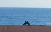 La météo du jour en Corse