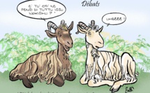 L'actualité corse vue par Battì : issu wokismu