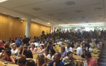 Corte : Xylella Fastidiosa ou la chronique d’une catastrophe annoncée