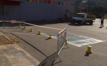 Xylella Fastisiosa : Le point sur la lutte en Corse-du-Sud