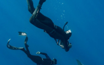 Les championnats de France de  photo sous-marine arrivent à Bastia