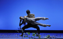 La septième édition du festival Dissidanse Itinérance sillonnera la Corse du 1er au 17 juillet